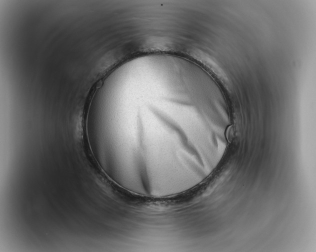 X0000094210489200711091240