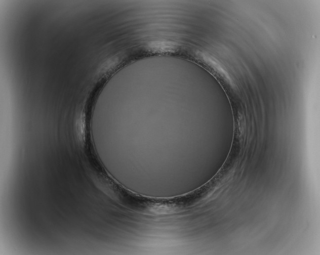 X0000094210494200711091240