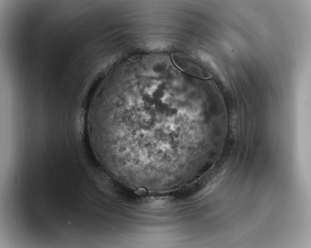 X0000094210495200711091240