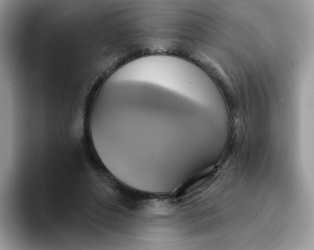 X0000094210496200711091240