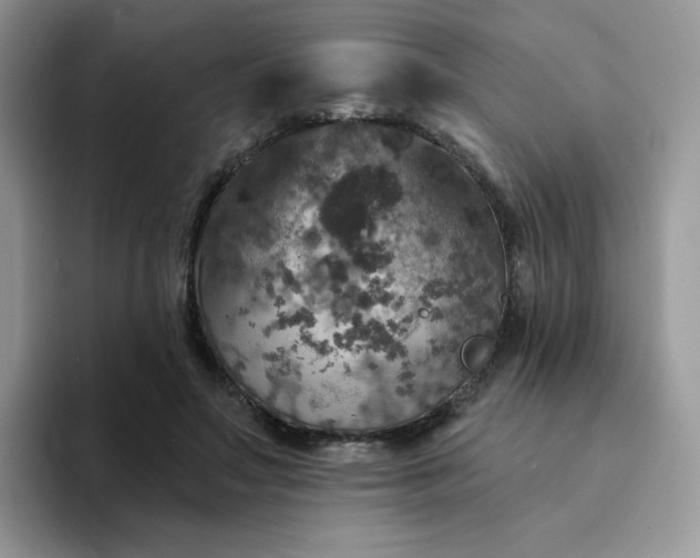 X0000094210499200711091240