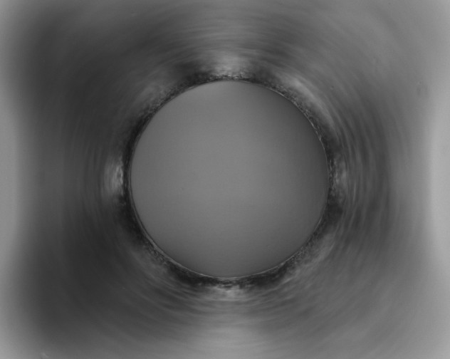 X0000094210502200711091240