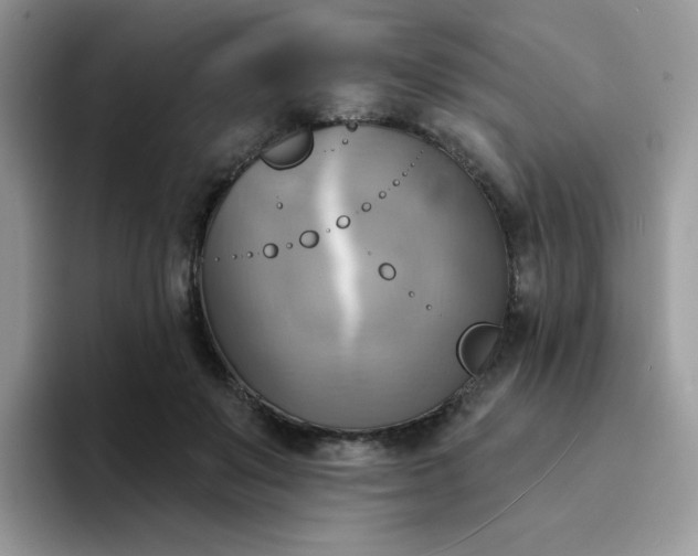 X0000094210503200711091240