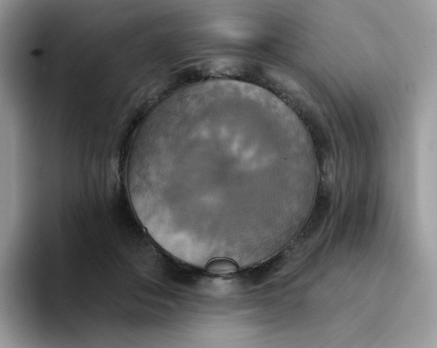 X0000094210506200711091240