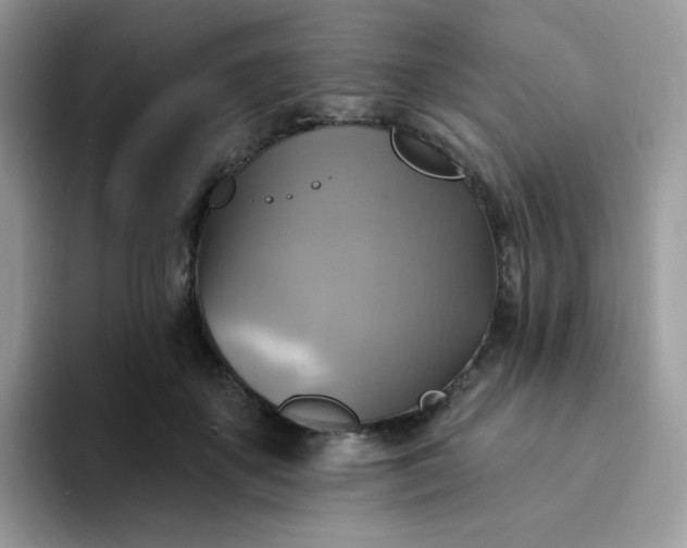 X0000094210507200711091240