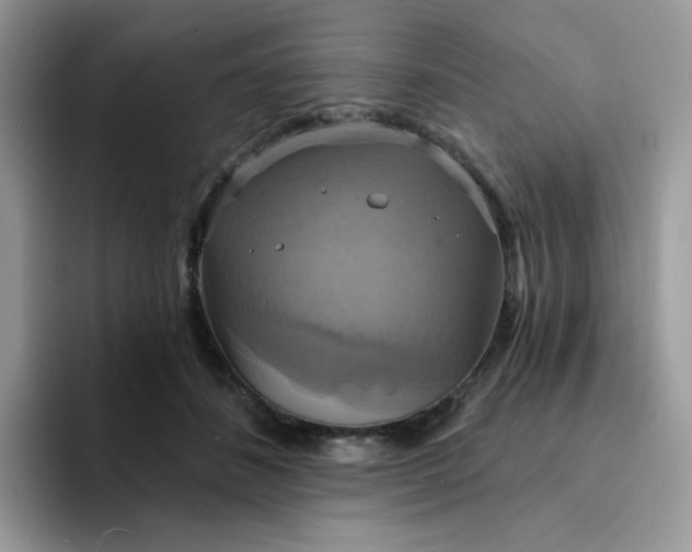 X0000094210508200711091240