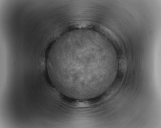 X0000094210510200711091240