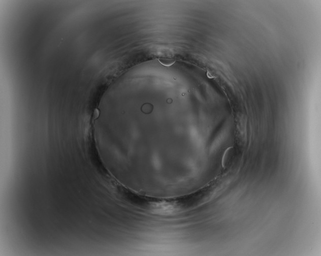 X0000094210511200711091240