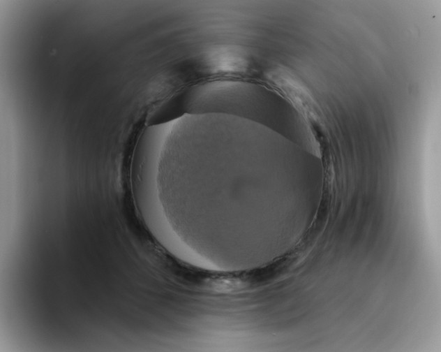 X0000094210512200711091240