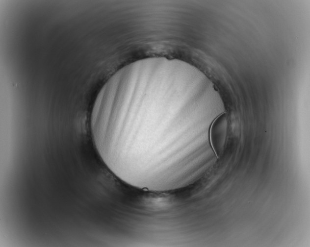 X0000094210514200711091240