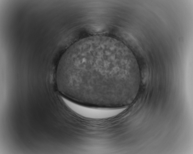 X0000094210515200711091240
