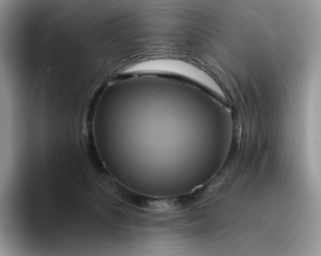 X0000094210516200711091240