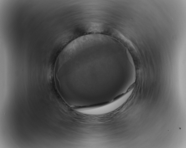 X0000094210517200711091240
