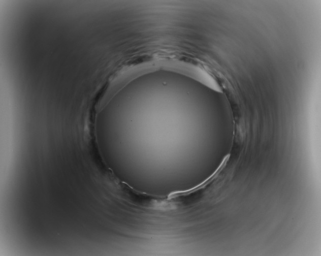 X0000094210520200711091240