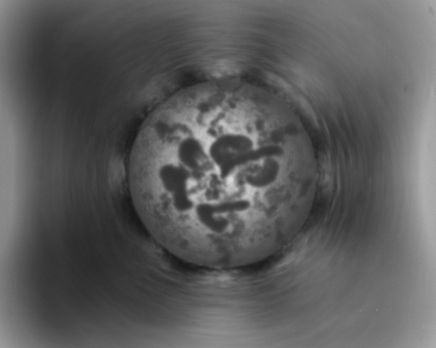 X0000094210523200711091240