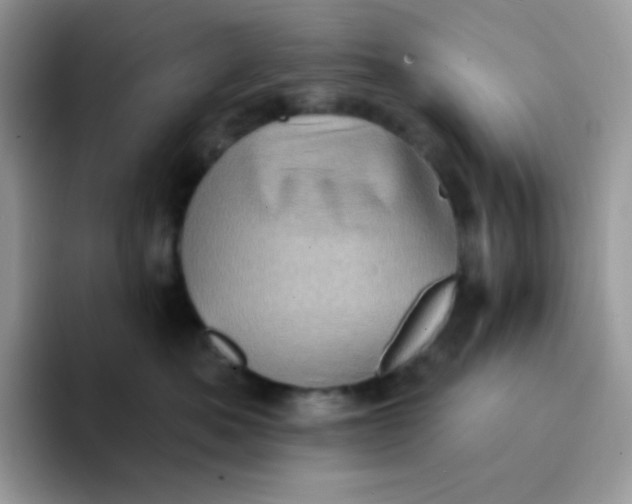 X0000094210525200711091240