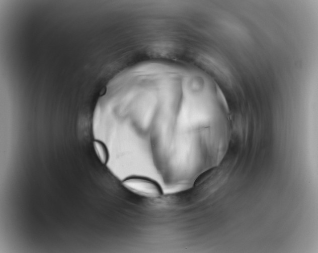 X0000094210526200711091240