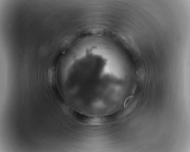 X0000094210527200711091240