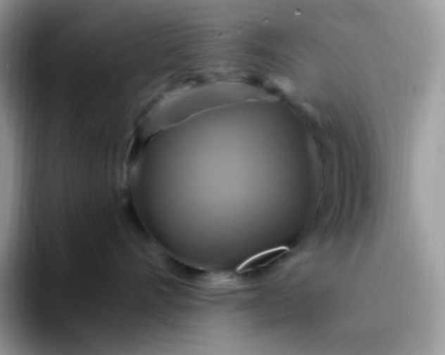 X0000094210528200711091240