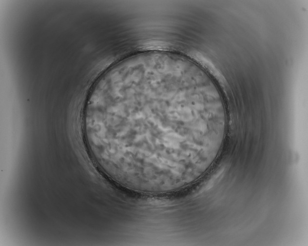 X0000094210529200711091239