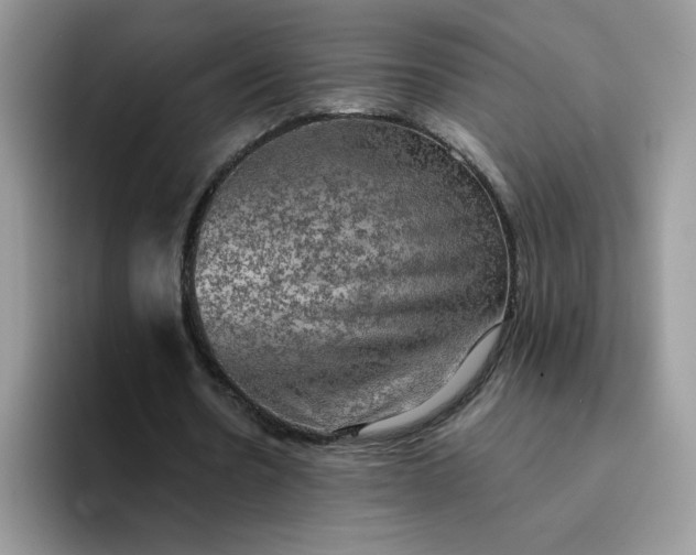 X0000094210530200711091239