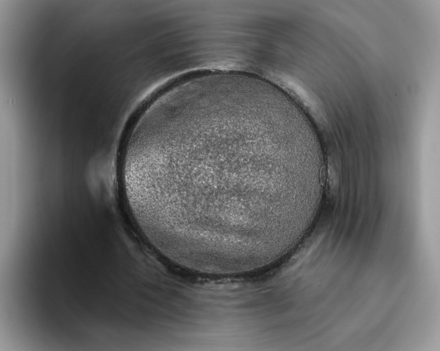 X0000094210532200711091239