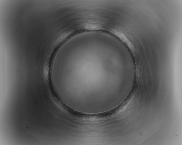 X0000094210533200711091239