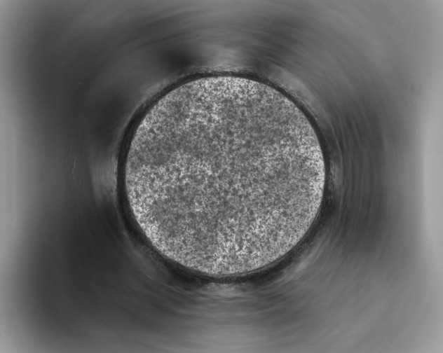 X0000094210534200711091239