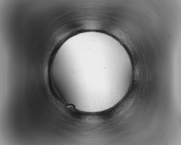 X0000094210535200711091239