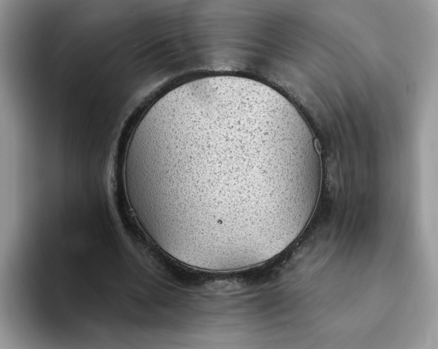 X0000094210536200711091239