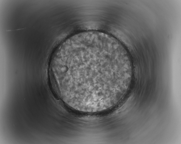 X0000094210537200711091239