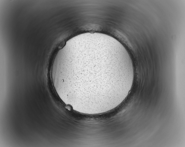 X0000094210538200711091239