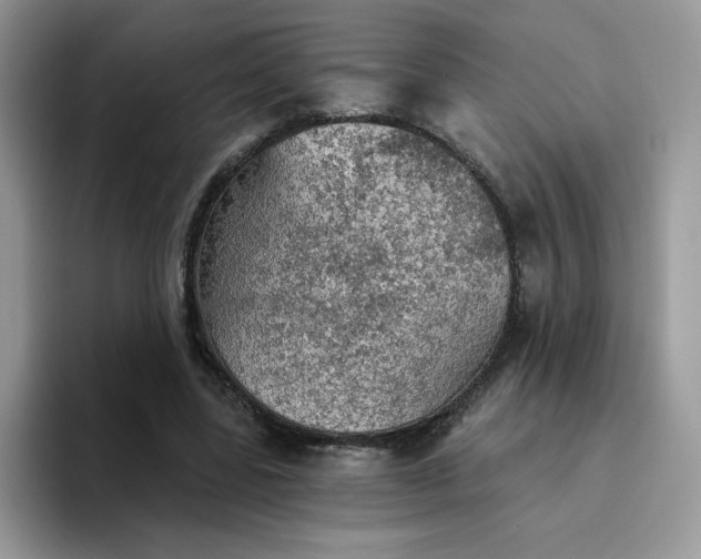 X0000094210539200711091239
