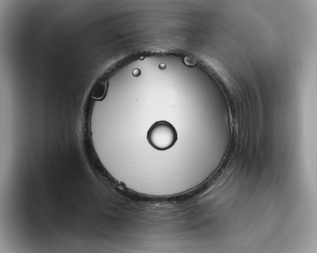 X0000094210540200711091239