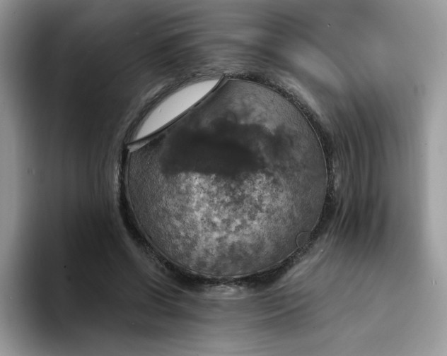X0000094210542200711091239