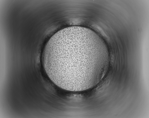 X0000094210543200711091239