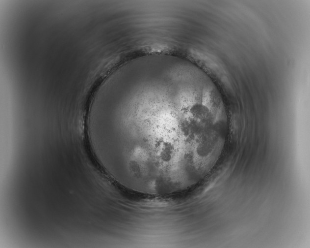 X0000094210545200711091239