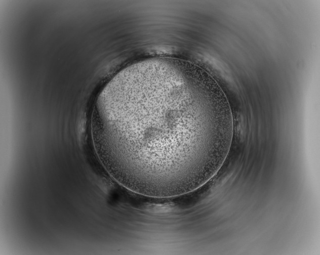 X0000094210548200711091239