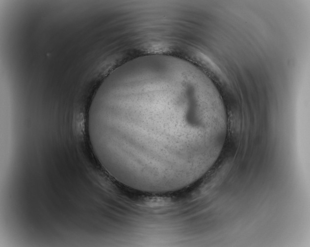 X0000094210549200711091239