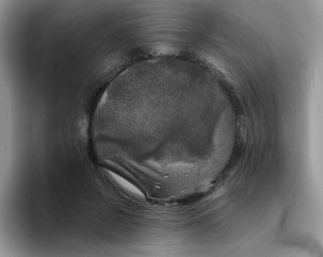 X0000094210550200711091239