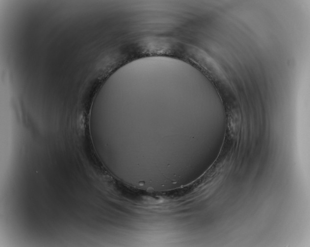 X0000094210551200711091239