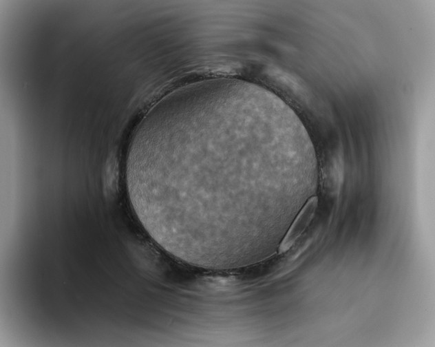 X0000094210552200711091239