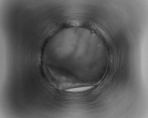 X0000094210553200711091239