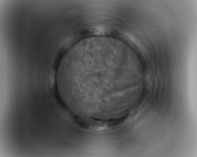 X0000094210554200711091239