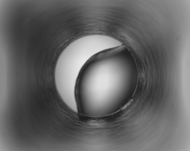 X0000094210556200711091239