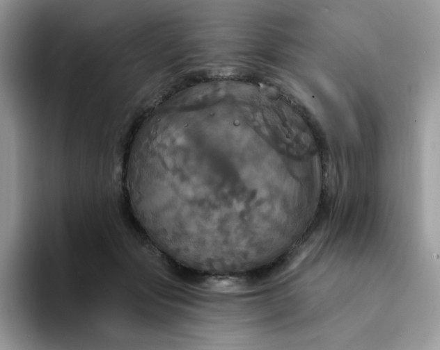 X0000094210557200711091239
