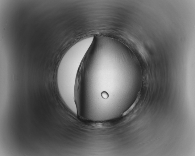 X0000094210558200711091239