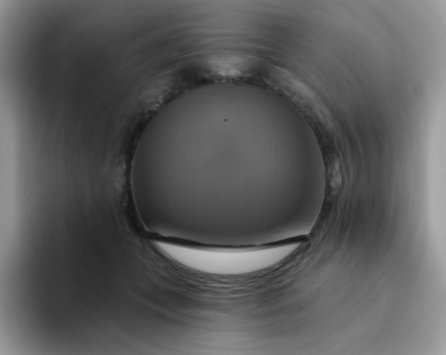X0000094210559200711091239