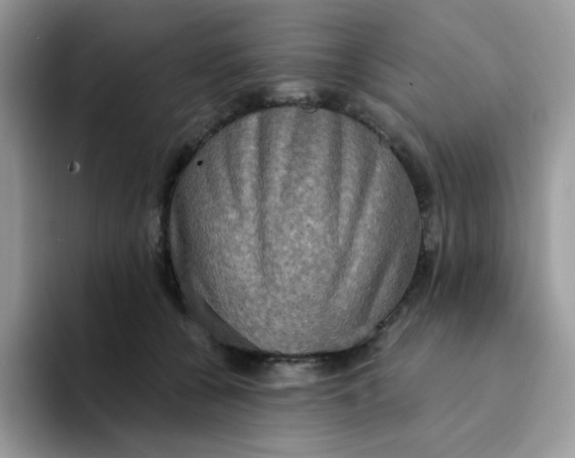 X0000094210560200711091239