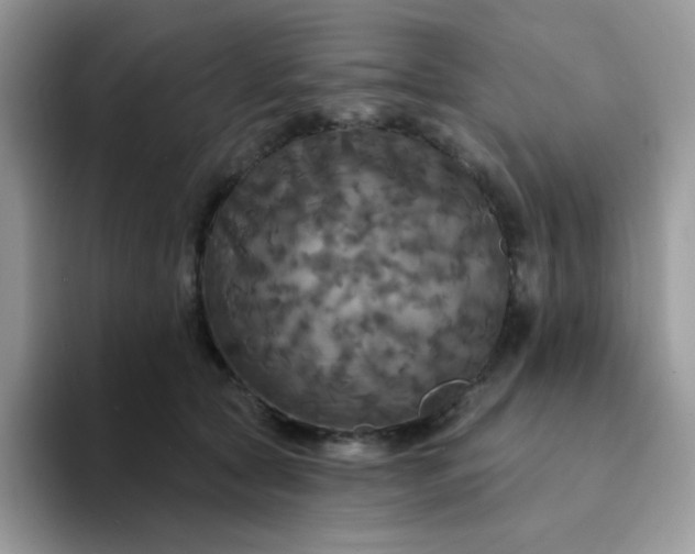X0000094210561200711091239